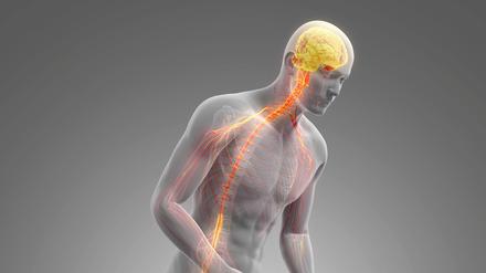 Durch die Parkinsonbehandlung per Video können Patient:innen viel Zeit sparen. 