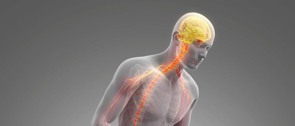 Durch die Parkinsonbehandlung per Video können Patient:innen viel Zeit sparen.