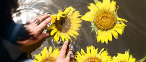„Sunflowers“ heißt das Bild von Sofia Chybisova.