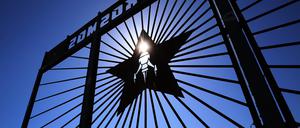 Die Sonne scheint durch das Symbol der «Fusion» am Eingangstor zum Festivalgelände. Nach monatelangen Diskussionen um das Sicherheitskonzept startet am 26.06.2019 das «Fusion»-Festival in Lärz. 70 000 Besucher werden zwischen dem 26. und dem 30. Juni in der Gemeinde im Landkreis Mecklenburgische Seenplatte erwartet. +++ dpa-Bildfunk +++