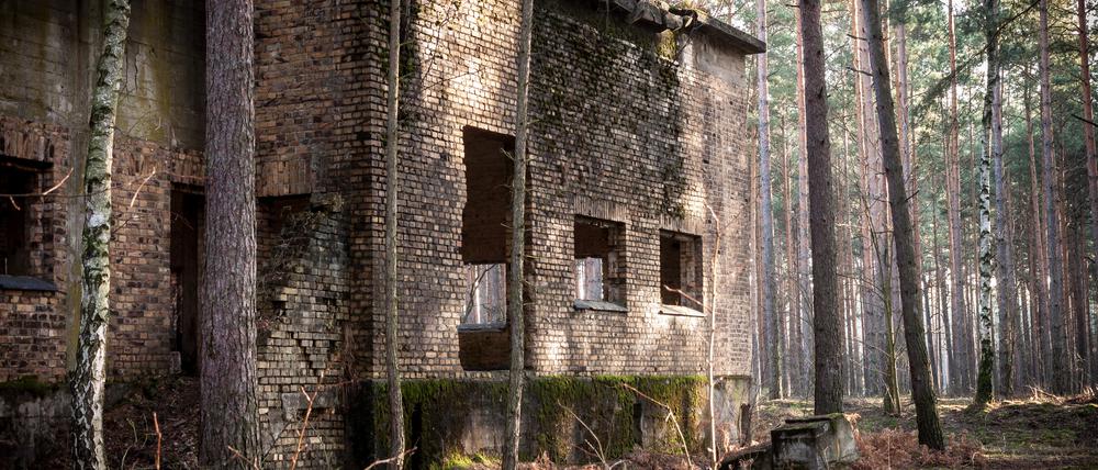Eine Ruine der Sprengstofffabrik in Krzystkowice, auf der sich bis 1945 auch ein Lager mit jüdischen Zwangsarbeiter:innen befand.