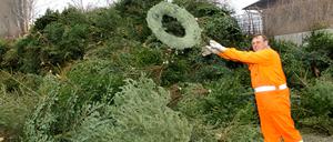 Ein ausrangierter Adventskranz wird am Freitag (07.01.2005) auf dem Gelände der Berliner Stadtreinigung BSR in Berlin von einem Mitarbeiter zu einem großen Haufen alter Weihnachtsbäume geworfen. Die BSR rechnet, wie schon im Vorjahr, mit rund 400 000 Weihnachtsbäumen, die noch bis zum 22. Januar kostenlos eingesammelt und anschließend für Kompost-Erde zerschreddert werden. Foto: Stephanie Pilick dpa/lbn +++ dpa-Bildfunk +++