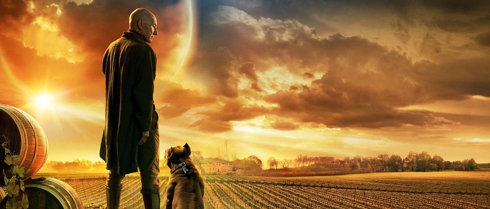 Ein Artwork zur Serie „Star Trek: Picard“.