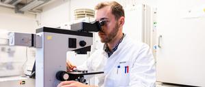 Ein Biologielaborant untersucht PCR-positive Proben an einem Mikroskop. 