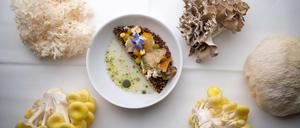 Die ARD zeigt feine Teller und die Köche dahinter.