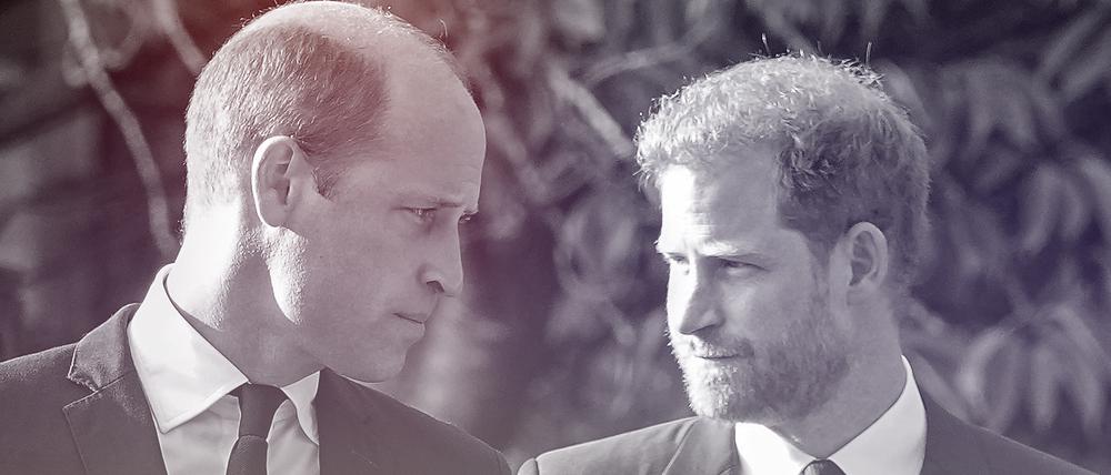 Prinz William (links) und sein Bruder Prinz Harry.