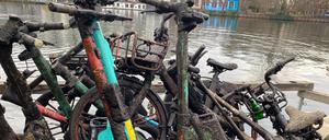 Die Aktiven von Spree:publik bei einer Cleanup Aktion an der Oberbaumbrücke. Mit Bootshaken fischen sie E-Scooter und Leihräder aus dem Wasser.