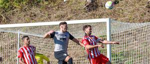 Gute A- und noch bessere B-Note: Der 1. FC Union zeigt sich in Campoamor gut in Schuss.