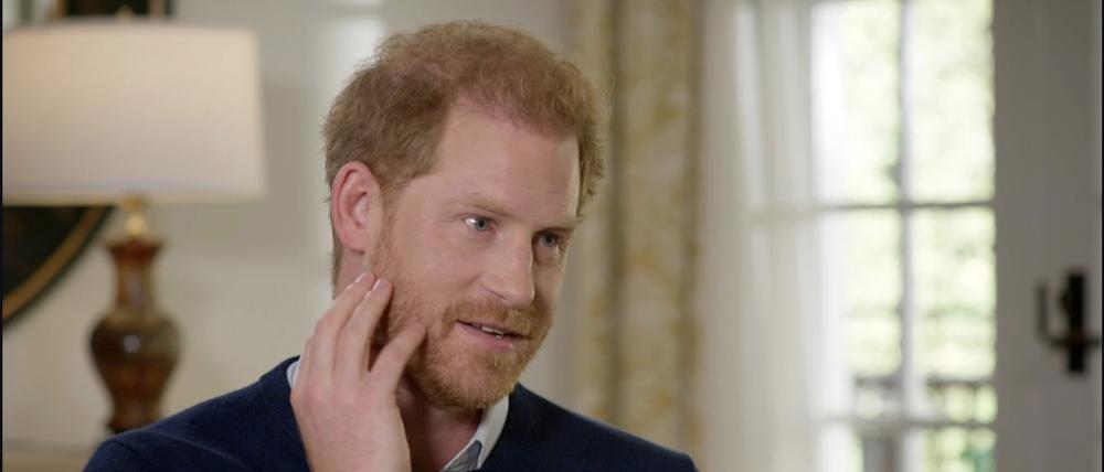 Prinz Harry wettert gegen das Establishment.