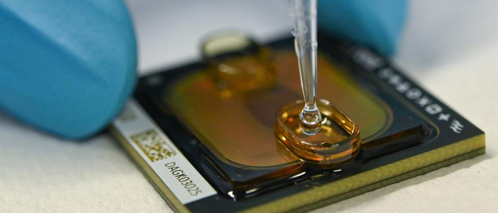 Ein Chip wird im Labor für eine Genomsequenzierung beladen. Im Abwasser lässt sich die Entwicklung der Corona-Pandemie vorhersagen. Potsdam beteiligt sich an einem bundesweiten Pilotprojekt.