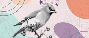 Neu in Berlin - betrunkene Vögel