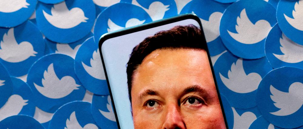 Elon Musk hatte Twitter im Oktober 2022 übernommen (Illustration).