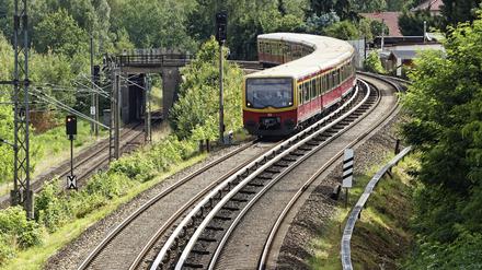 S-Bahnzug der Linie S1 bei Birkenwerder.