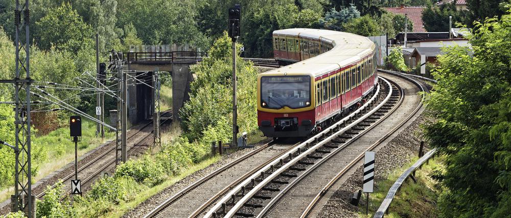 S-Bahnzug der Linie S1 bei Birkenwerder.