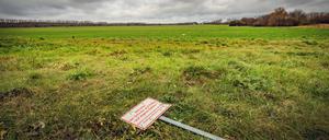 Die Elisabeth-Aue, Brachland zwischen Rosenthal und Französisch Buchholz.