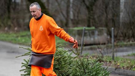 Thomas Schulze, Kraftfahrer bei der Berliner Stadtreinigungsbetriebe (BSR), entsorgt in Berlin Hohenschönhausen ausgediente Weihnachtsbäume.