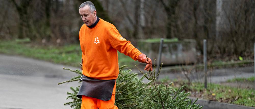Thomas Schulze, Kraftfahrer bei der Berliner Stadtreinigungsbetriebe (BSR), entsorgt in Berlin Hohenschönhausen ausgediente Weihnachtsbäume.