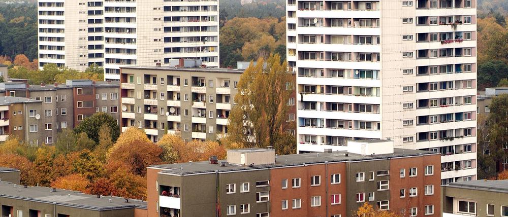 Das Falkenhagener Feld in Spandau.