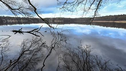 Die Äste der am Ufer wachsenden Bäume spiegeln sich im Wasser des Summter Sees. Der Natursee nahe dem Berliner Stadtrand ist etwa 300.000 Quadratmeter groß und maximal 1,80 Meter tief.
