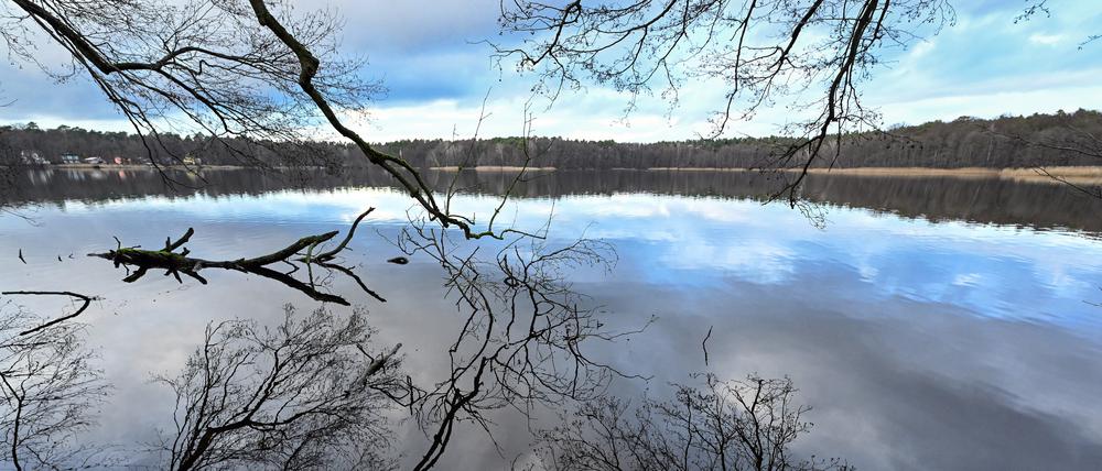 Die Äste der am Ufer wachsenden Bäume spiegeln sich im Wasser des Summter Sees. Der Natursee nahe dem Berliner Stadtrand ist etwa 300.000 Quadratmeter groß und maximal 1,80 Meter tief.