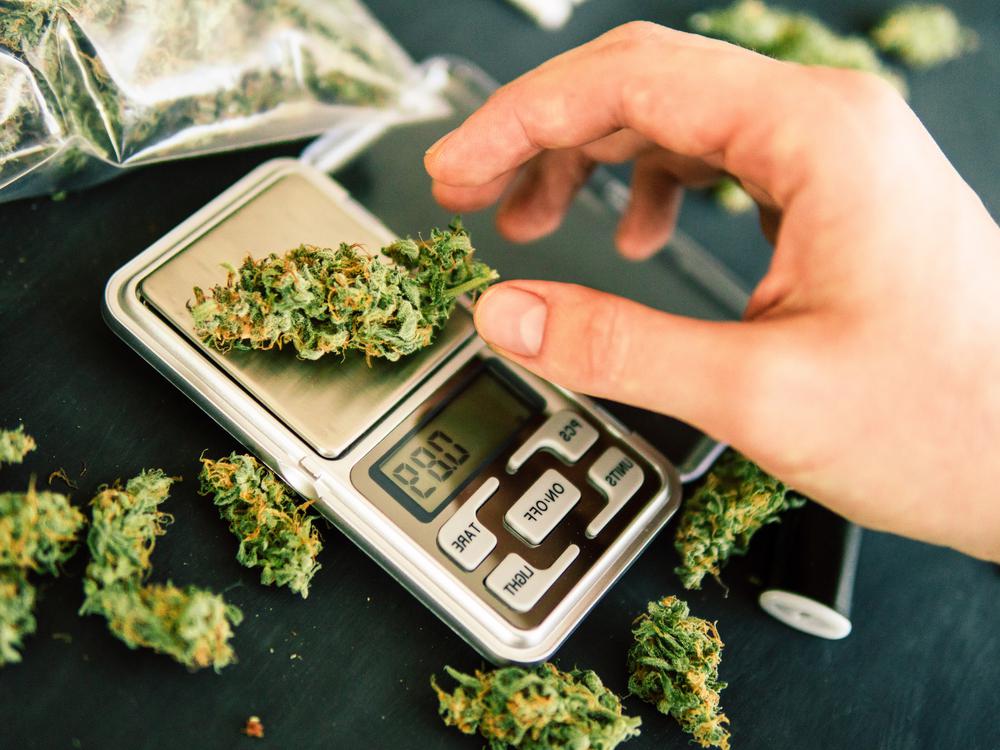 Zwei GrasDealer packen aus „Da habe ich gemerkt man kann damit ja wirklich Geld machen“