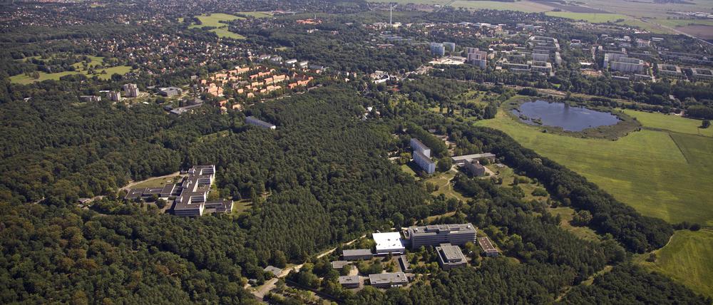 Das Gebiet Buch – Am Sandhaus hat viel Natur zu bieten, trotzdem sollen hier 2700 Wohnungen gebaut werden.
  