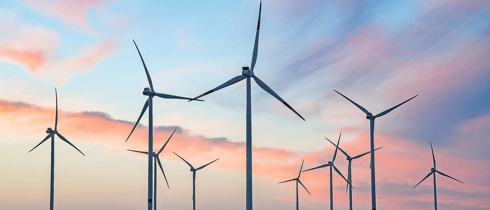 Ein Windpark in Sieversdorf in Brandenburg