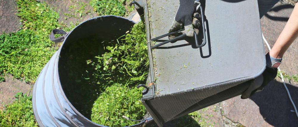 Potsdamer haben die Möglichkeit, ihren Grünschnitt zur Kompostieranlage in Nedlitz zu bringen.