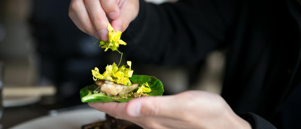 Frisch gepflückt: Im sehr weltberühmten „Noma“ in Kopenhagen wird fleißig gesammelt, was gerade wächst. 