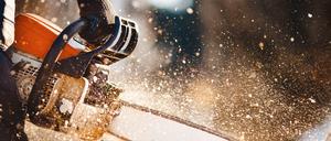 Säge; Kettensäge. Foto Shutterstock/Parilov, 