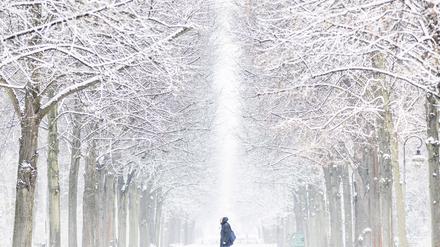 Winterszene im Tiergarten in Berlin. (Archivbild)