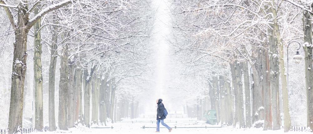 Winterszene im Tiergarten in Berlin. (Archivbild)