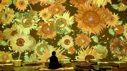 Der Immersive Room kurz vor der Eröffnung der multimedialen Ausstellung „Van Gogh - The Immersive Experience“ in der Hansemesse in Rostock. 