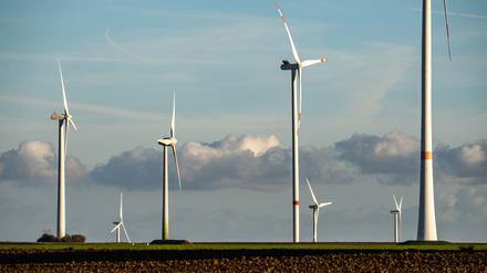 Zahlreiche Windräder stehen auf den Hügeln zwischen den Äckern im Landkreis Alzey-Worms.