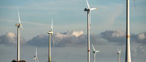 Zahlreiche Windräder stehen auf den Hügeln zwischen den Äckern im Landkreis Alzey-Worms.