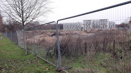 Hinter Zäunen lagert Baumaterial: Der Nuthepark soll am Hauptbahnhof erweitert werden.