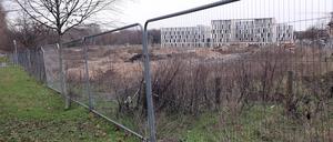 Hinter Zäunen lagert Baumaterial: Der Nuthepark soll am Hauptbahnhof erweitert werden.