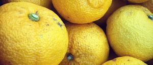 Rarität aus Japan: Frische Yuzu kosten 80 bis 100 Euro das Kilo. 