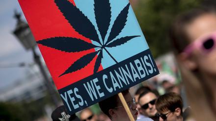 Demonstrant mit Plakat Yes We Cannabis, Symbolbild