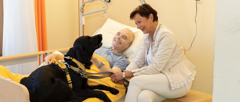 Der Hundebesuchsdienst im Diakonie Hospiz Wannsee sorgt bei den Gästen für Freude.