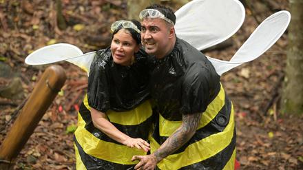 Djamila Rowe und Cosimo Citiolo treten an Tag 4 der RTL-Show „Ich bin ein Star - Holt mich hier raus!“ zur Schatzsuche „Bee Careful“ an. 