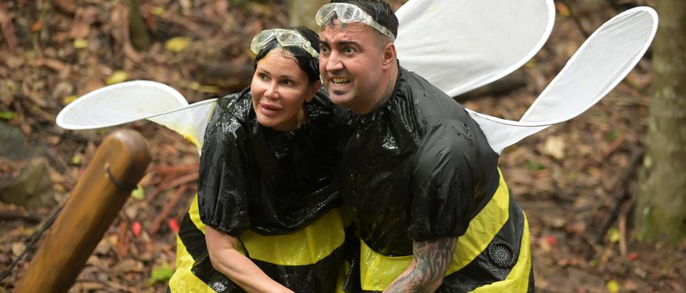 Djamila Rowe und Cosimo Citiolo treten an Tag 4 der RTL-Show „Ich bin ein Star - Holt mich hier raus!“ zur Schatzsuche „Bee Careful“ an. 
