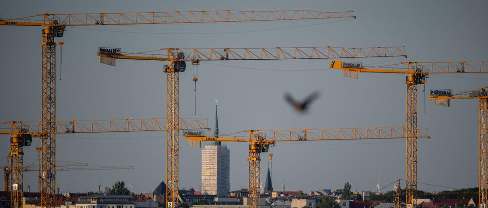 Wie in vielen anderen Großstädten auch, ist der Wohnungsmarkt in Berlin besonders angespannt.