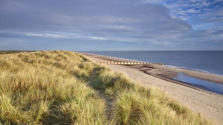 Am Horsey Beach ziehen jedes Jahr Kegelrobben ihren Nachwuchs auf.