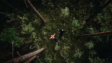 Entspannung im Wald
