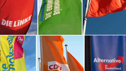 Die Bildkombo zeigt Fahnen der Parteien Die Linke (l.-r.), Bündnis 90 Die Grünen, SPD, FDP, CDU und AfD. Die Grünen haben ihren seit geraumer Zeit anhaltenden Mitgliederzuwachs auch 2022 fortgesetzt. SPD und CDU, aber auch Linke, AfD und FDP haben dagegen Anhänger mit Parteibuch verloren.