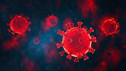 Bislang fehlen eindeutige Belege dafür, das Sars-Cov-2 das Immunsystem nachhaltig schwächt.