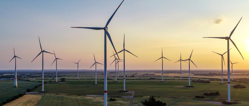 Windenergiepark «Odervorland» im Landkreis Oder-Spree