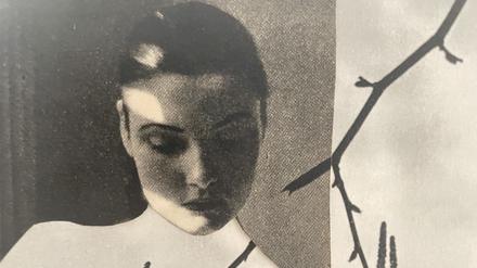 Miriam Tölke, „Ast“, eine Collage aus dem 2022.