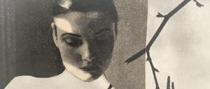 Miriam Tölke, „Ast“, eine Collage aus dem 2022.